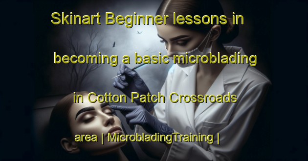 Skinart Beginner lessons in becoming a basic microblading in Cotton Patch Crossroads area | MicrobladingTraining | MicrobladingClasses | SkinartTraining-United States